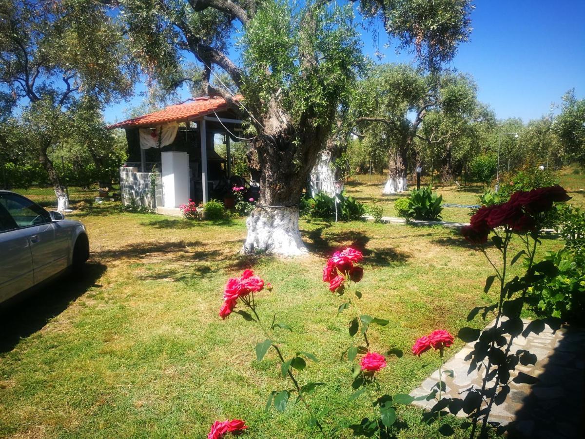 Cristi Skala Rachoni (Thasos)